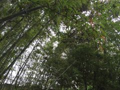 -金龟岛渔村