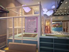 -美食小镇·观赏珍稀鸟类·长隆熊猫酒店