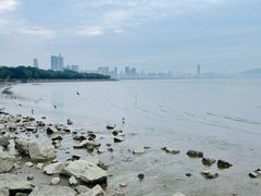 -深圳湾公园(南山区)