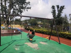 -铁山坪森林公园