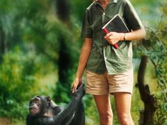 -万达影城(锦华万达广场IMAX店)