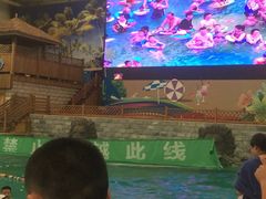 -南宫温泉水世界