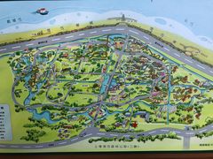 -上海滨江森林公园