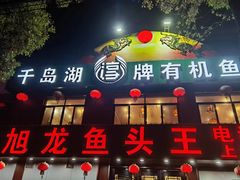 -旭龙鱼头王(航华店)