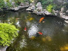 -鲤院·新中式美学·庭院餐厅(夫子庙店)