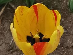 -长春公园(普阳街道)