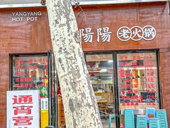 -阳阳老火锅(小南门店)
