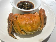 -阿毛饭店首店·宁波老字号(文化广场店)