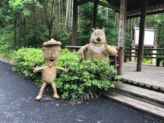 -千岛湖龙川湾