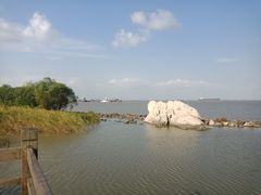 -吴淞炮台湾湿地森林公园烧烤区