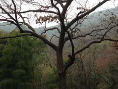 景点-穹窿山景区