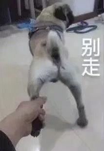 -仑头海鲜城(仑头环村南路店)