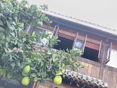 -渔梁坝