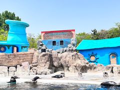 -大连老虎滩海洋公园