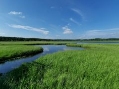 -塞罕坝国家级自然保护区