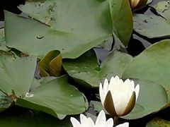 -尚贤河湿地