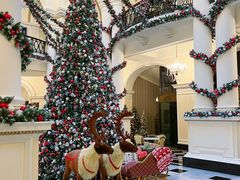 -Salon de Ville浦江汇(上海外滩华尔道夫酒店店)