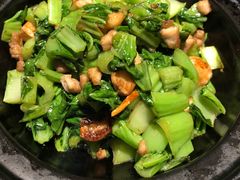 -大树餐厅(益田假日店)