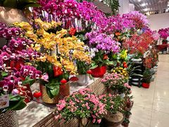 -双季花艺园艺市场(浦东店)