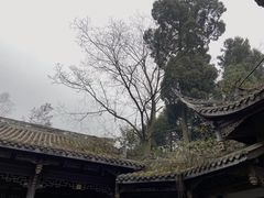 -凤栖山