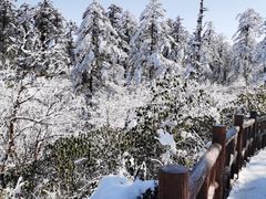 -瓦屋山景区