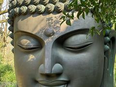 -杭州植物园