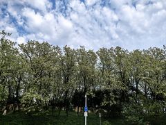 -燕儿岛山公园