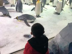 -凯莉-塔尔敦海洋生物水族馆