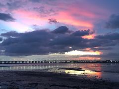 -宝安西湾红树林湿地公园