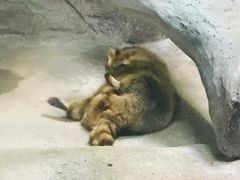 -福州罗源湾海洋世界旅游区