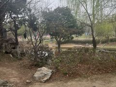 -武汉园博园(武汉自然博物馆)