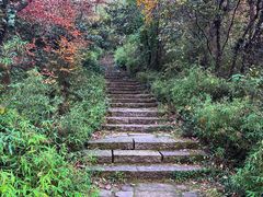 -杭州半山国家森林公园