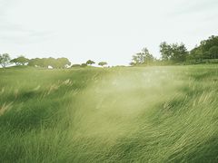 -红花山公园