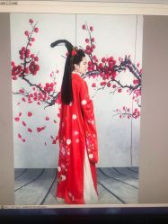 点击看大图 -虞美人汉服摄影