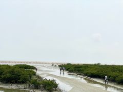 -北海金海湾红树林生态旅游区