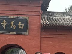 -洛阳白马寺