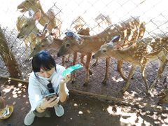 -海南热带野生动植物园