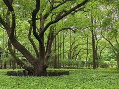 -徐家汇源景区-衡山公园