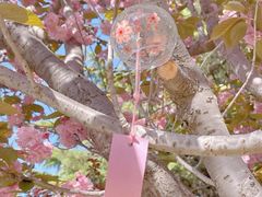 -石岛赤山风景区