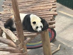 -沈阳森林动物园