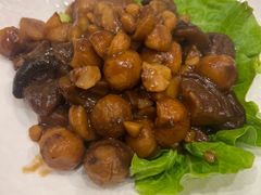 茨菇焖板栗-五观堂素食(新华路店)
