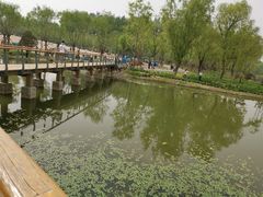 -东郊湿地公园