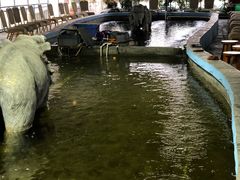 -光头佬钓虾场·烧烤·聚餐·亲子(金沙洲店)