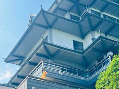 -金鸡湖桃花岛