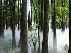 -东湖落雁景区