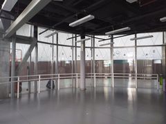 -邓肯舞蹈教育(深圳湾教学中心)