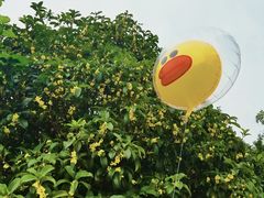 -南京金牛湖风景区