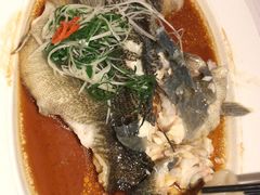 -彩丰楼·中餐厅(国家会展中心上海洲际店)