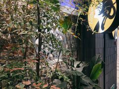 -茶理宜世(东方宝泰店)