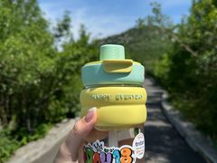 -佛慧山